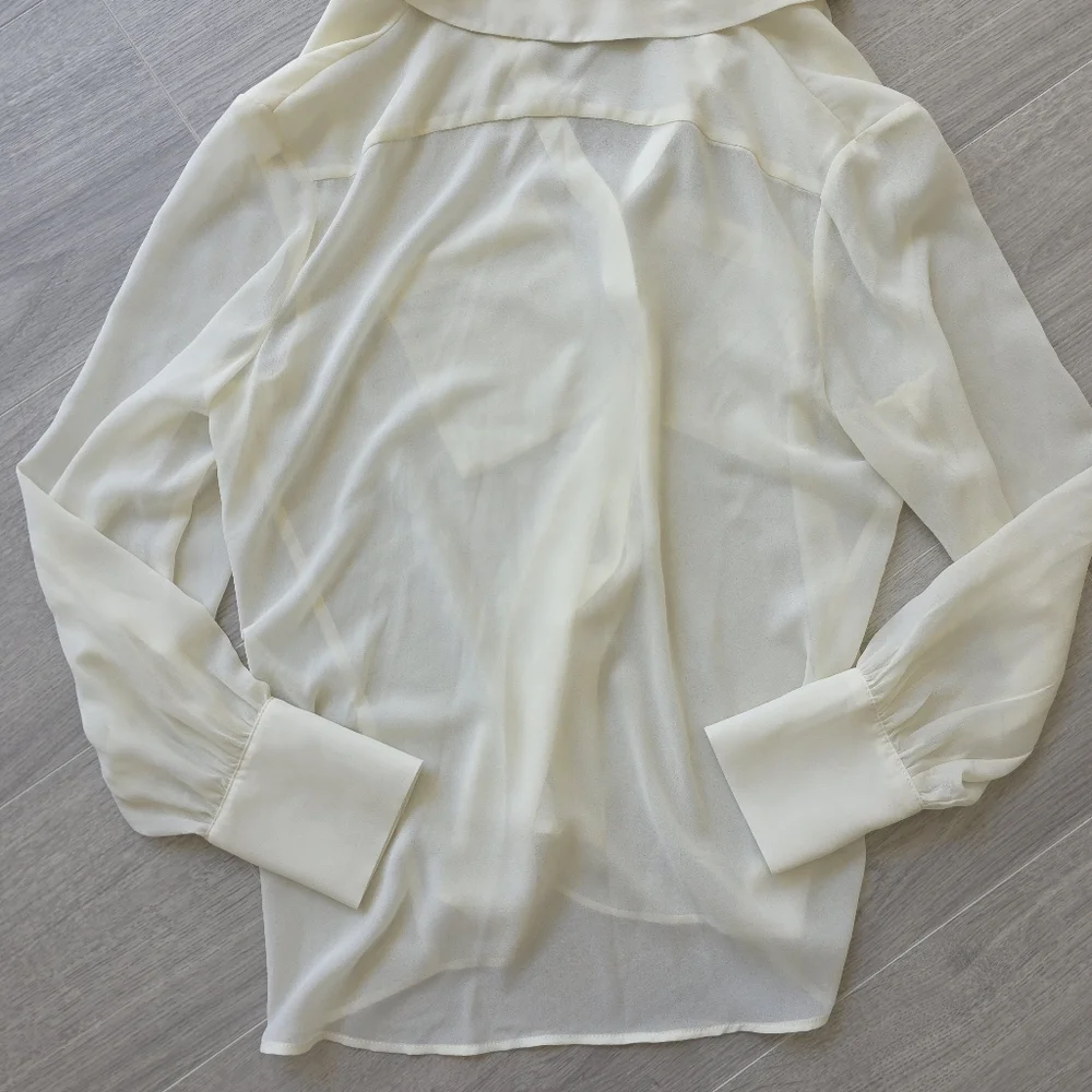 Zara Cream Sheer Blouse - Picture 5 of 5